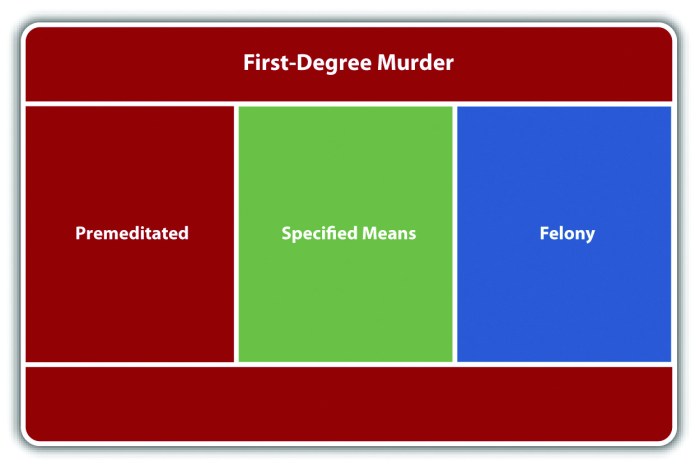 What is the worst degree of murder