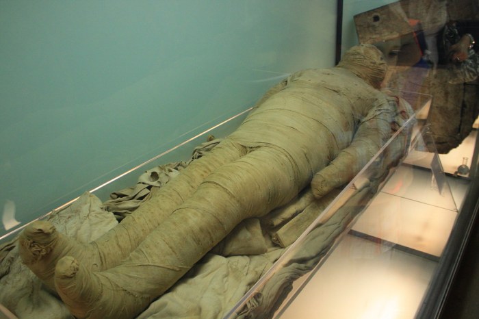 This preserved body wrapped in bandages