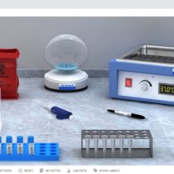 Dna profiling virtual labs answer key