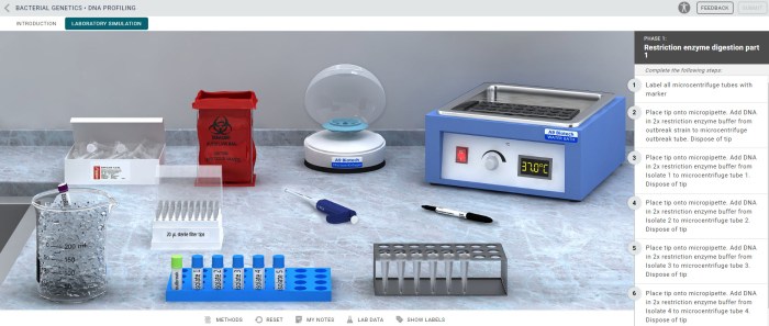 Dna profiling virtual labs answer key