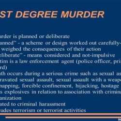 What is the worst degree of murder