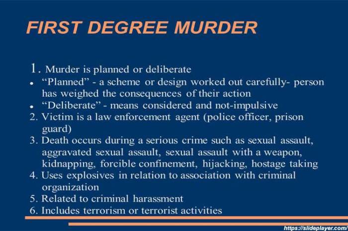 What is the worst degree of murder