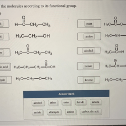 Classify each of the molecules according to its functional group