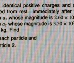 Equipotential dipole identical separated depict shaalaa