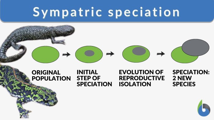 Select the correct statement describing sympatric speciation