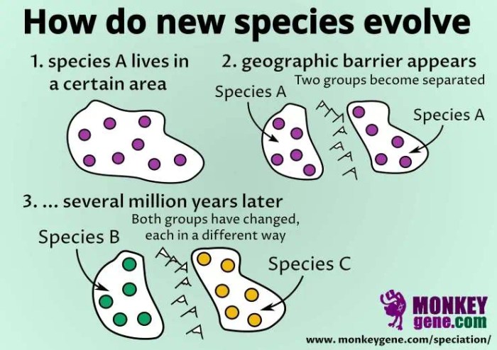 Speciation evolution between difference modes types examples figure